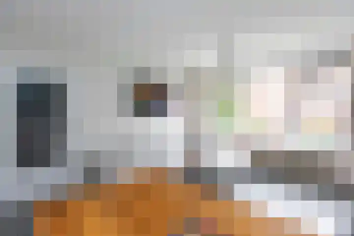 Ruigoord 41 Rotterdam thumbnail 7
