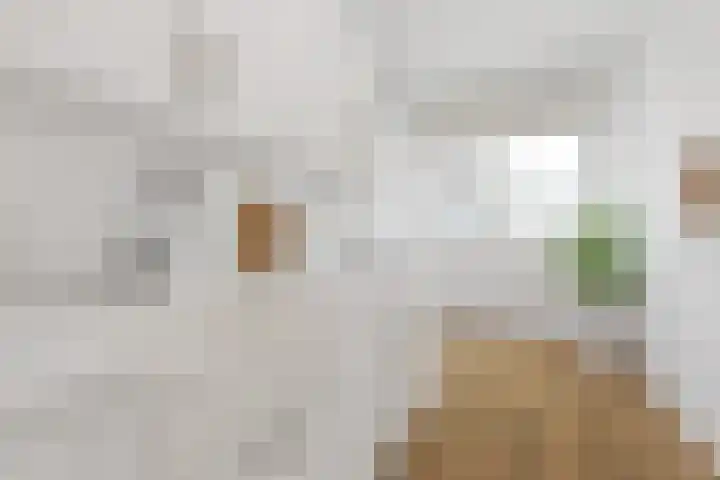 Ruigoord 60 Rotterdam thumbnail 11