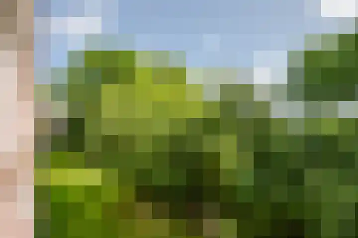 Ruigoord 60 Rotterdam thumbnail 22