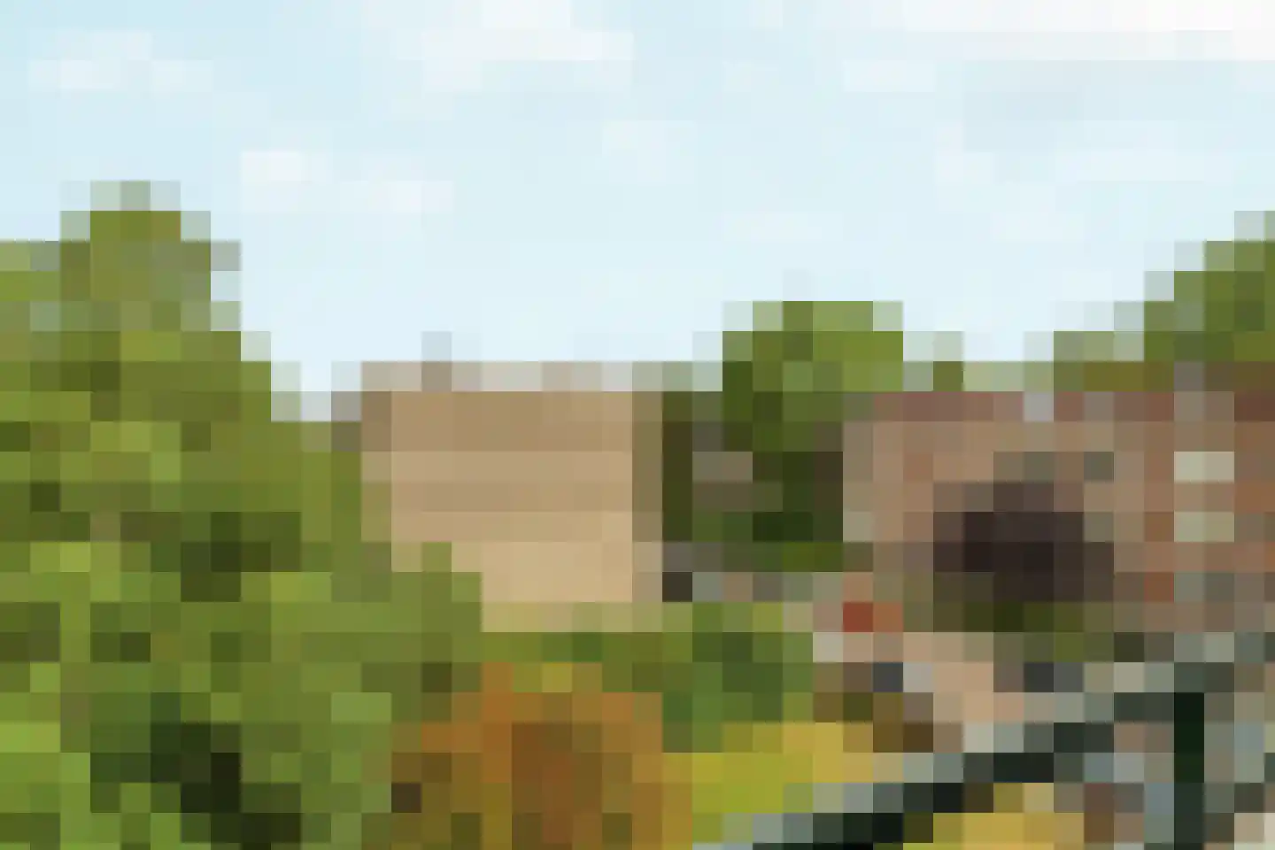 Ruigoord 63 Rotterdam thumbnail 27