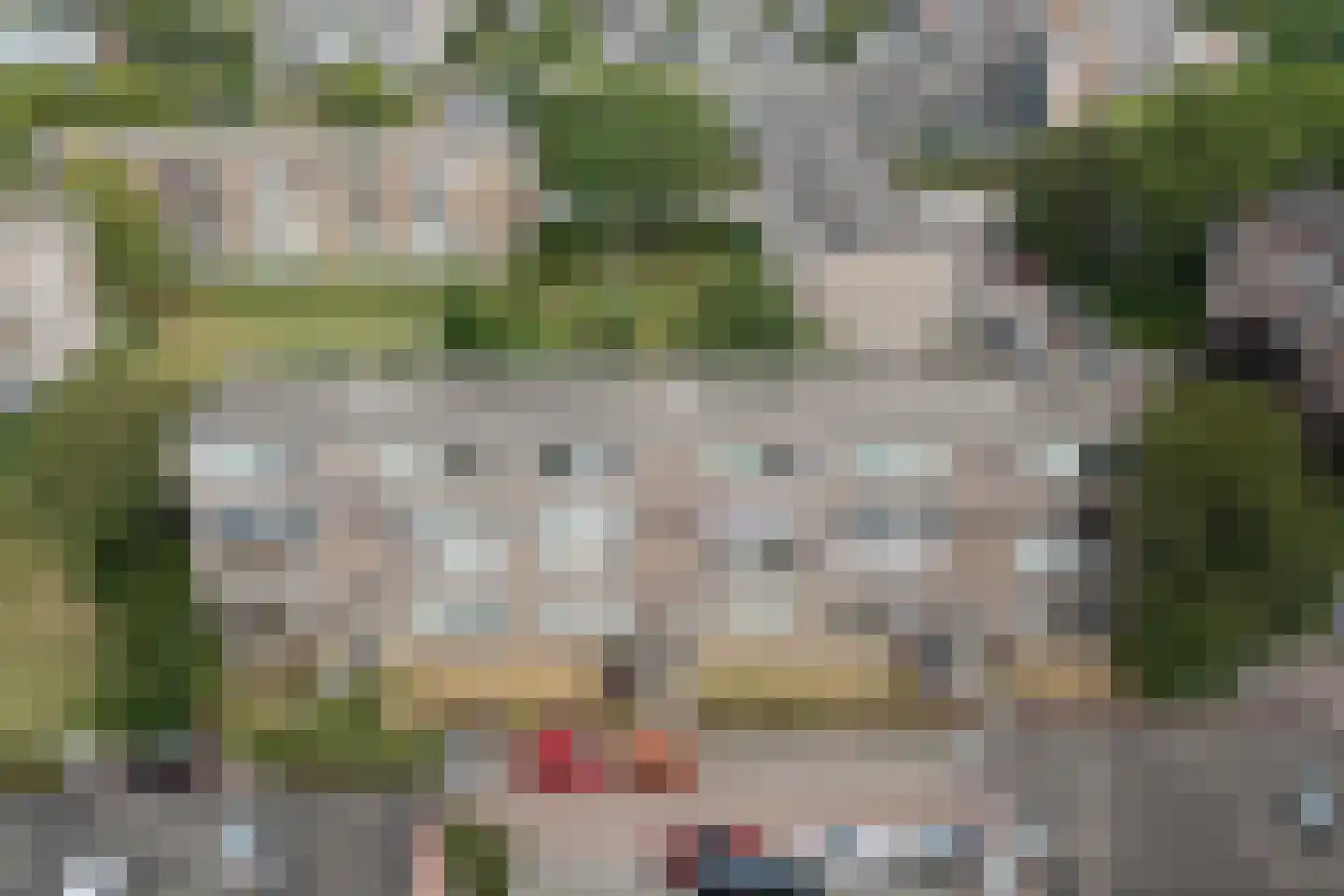 Ruigoord 63 Rotterdam thumbnail 30