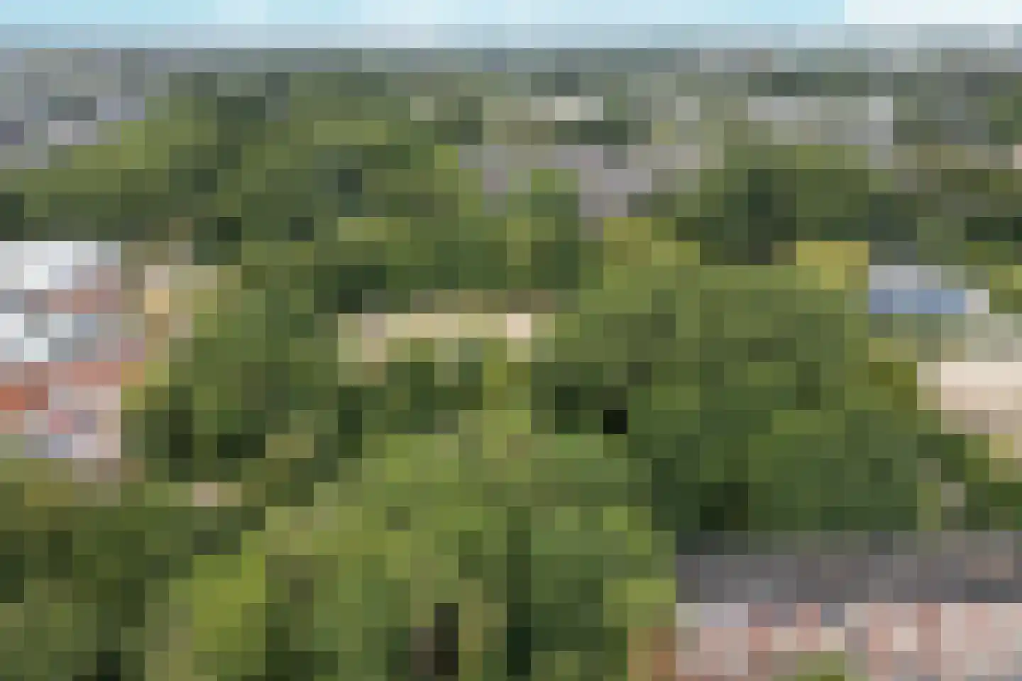 Ruigoord 63 Rotterdam thumbnail 35