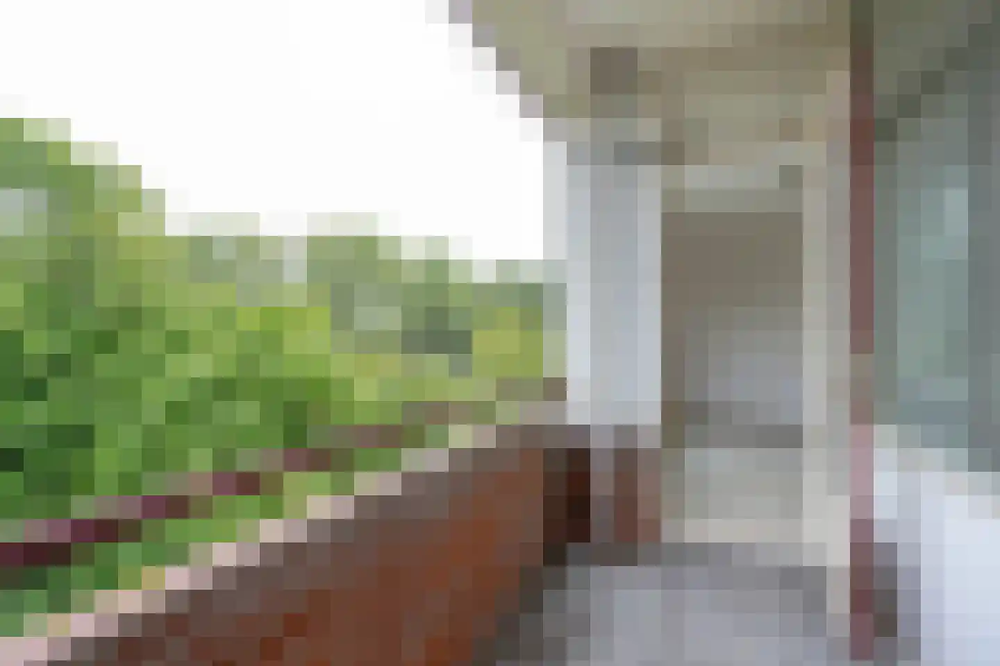 Ruigoord 64 Rotterdam thumbnail 15