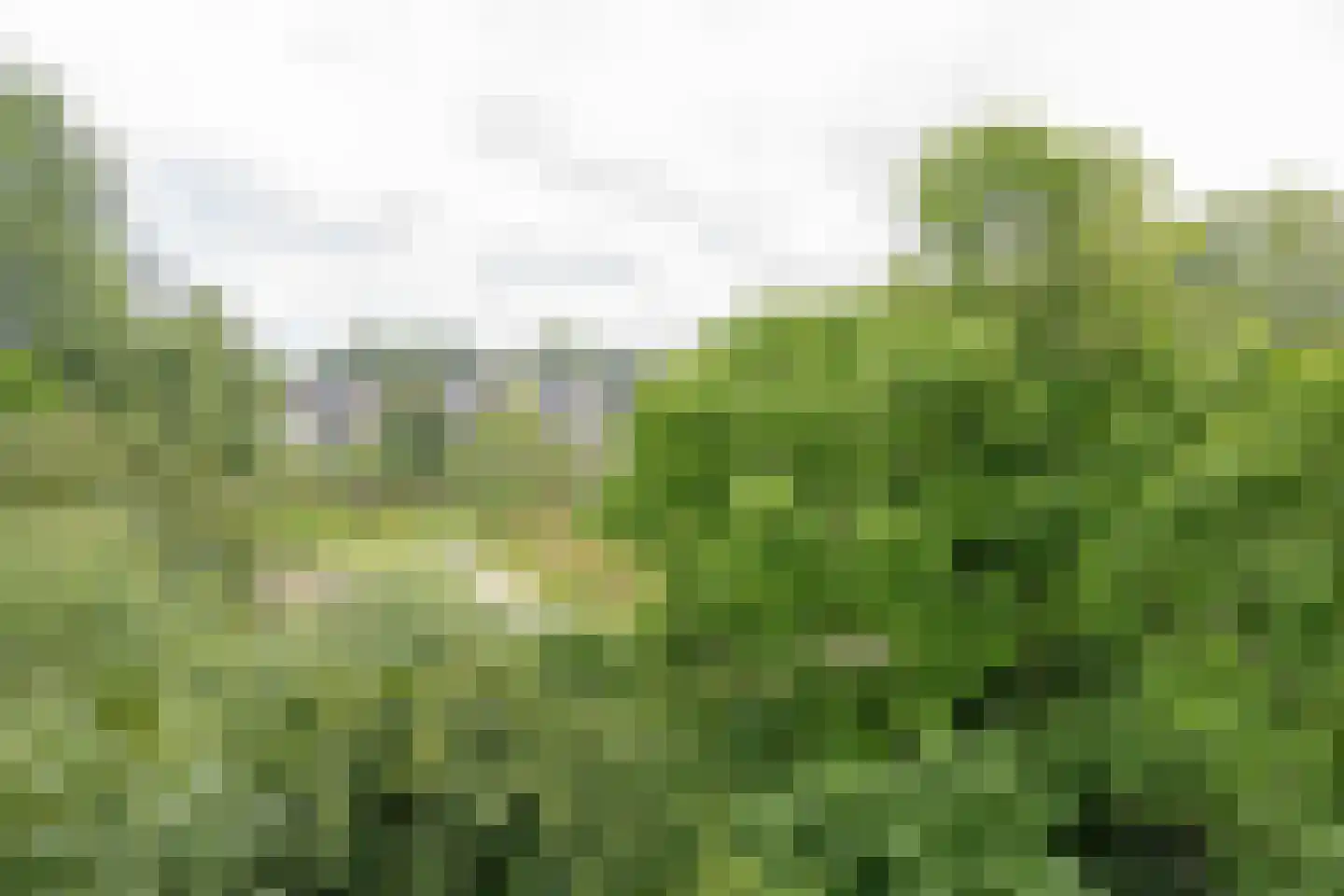 Ruigoord 64 Rotterdam thumbnail 16