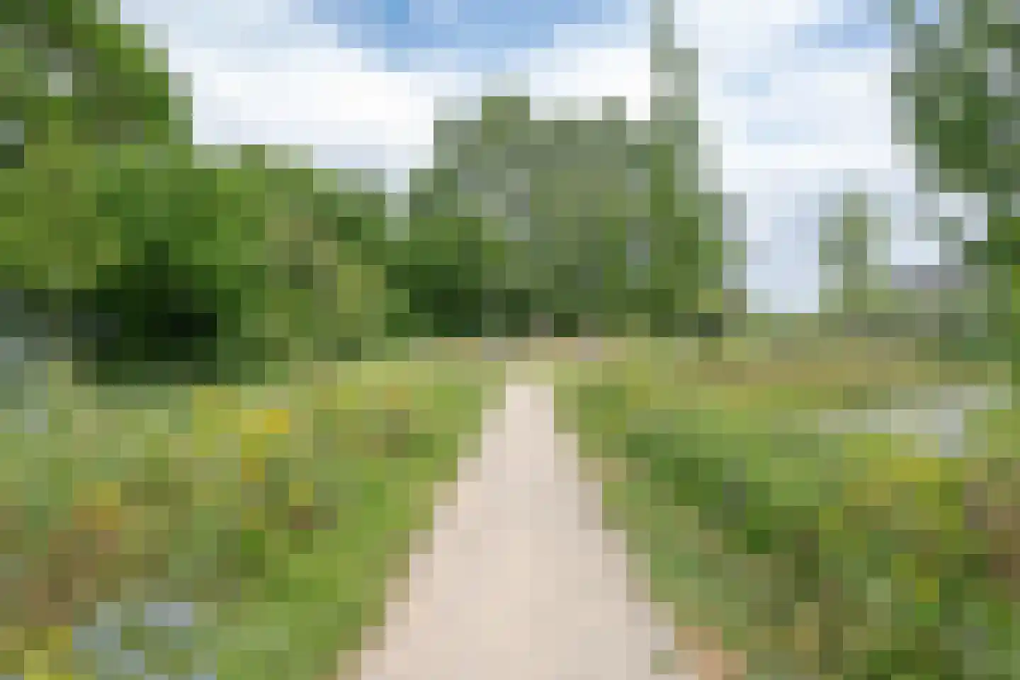 Ruigoord 64 Rotterdam thumbnail 27