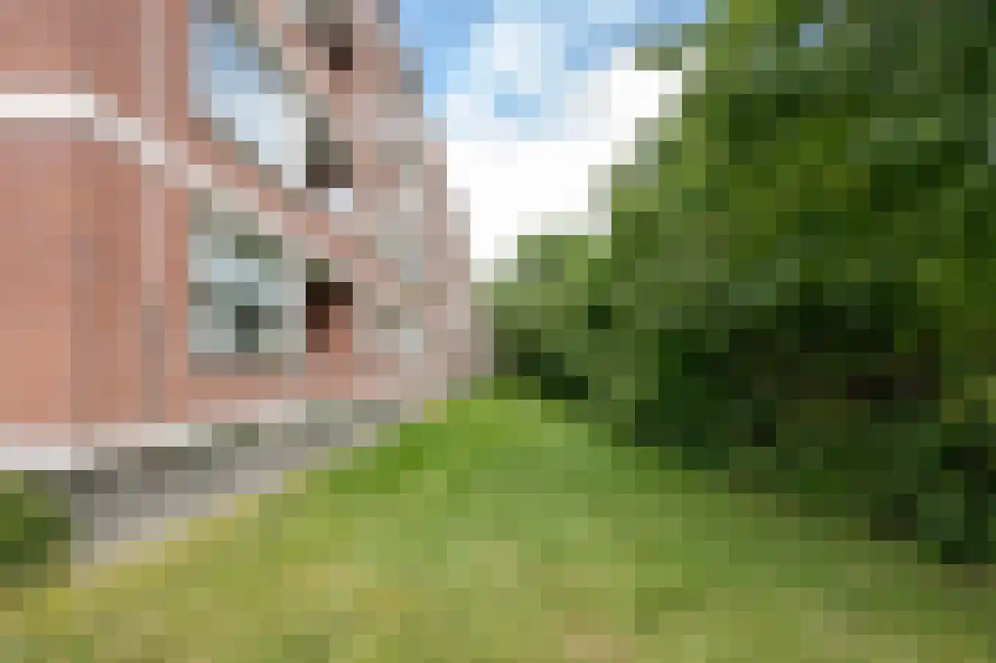 Ruigoord 64 Rotterdam thumbnail 29