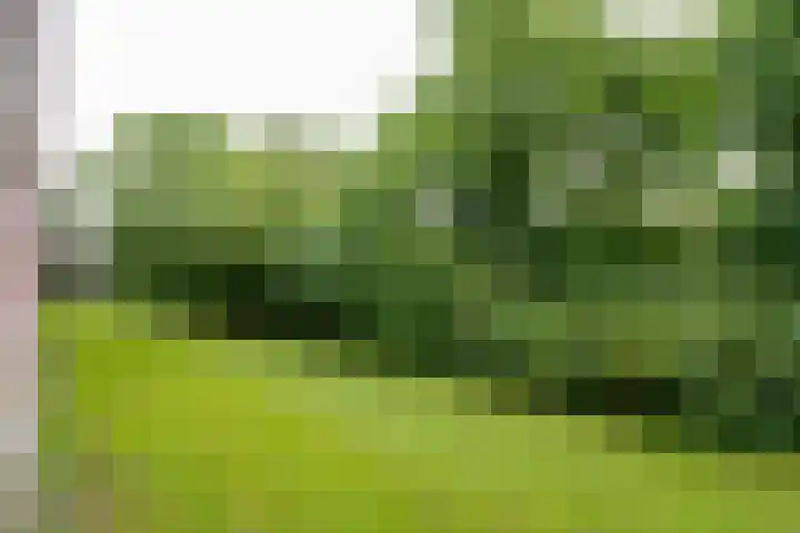 Ruigoord 66 Rotterdam thumbnail 21