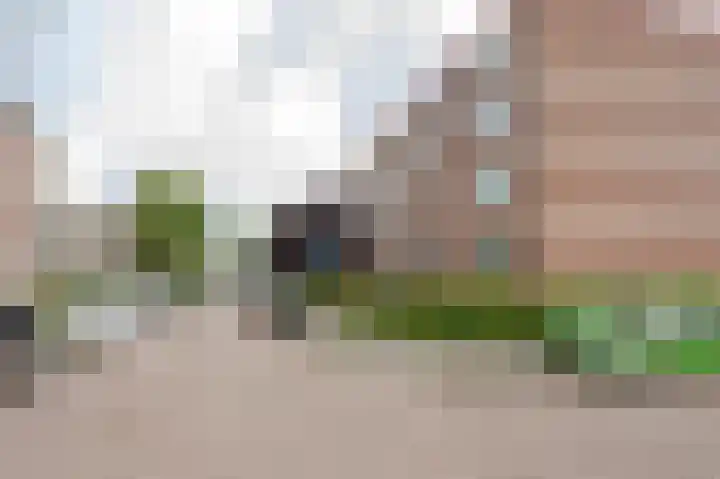Ruigoord 66 Rotterdam thumbnail 22