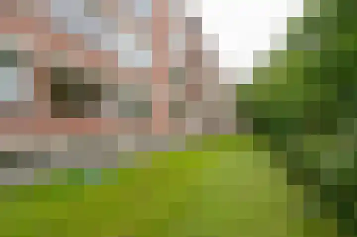 Ruigoord 66 Rotterdam thumbnail 23