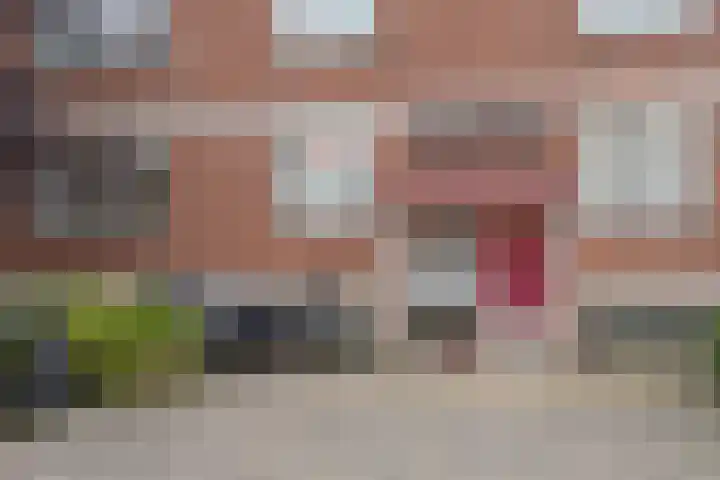 Ruigoord 66 Rotterdam thumbnail 6