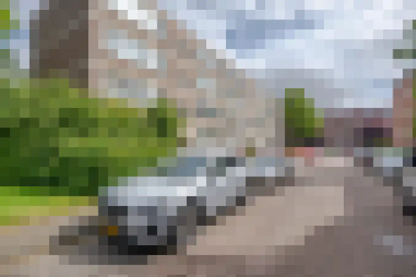 Ruigoord 91 Rotterdam thumbnail 19