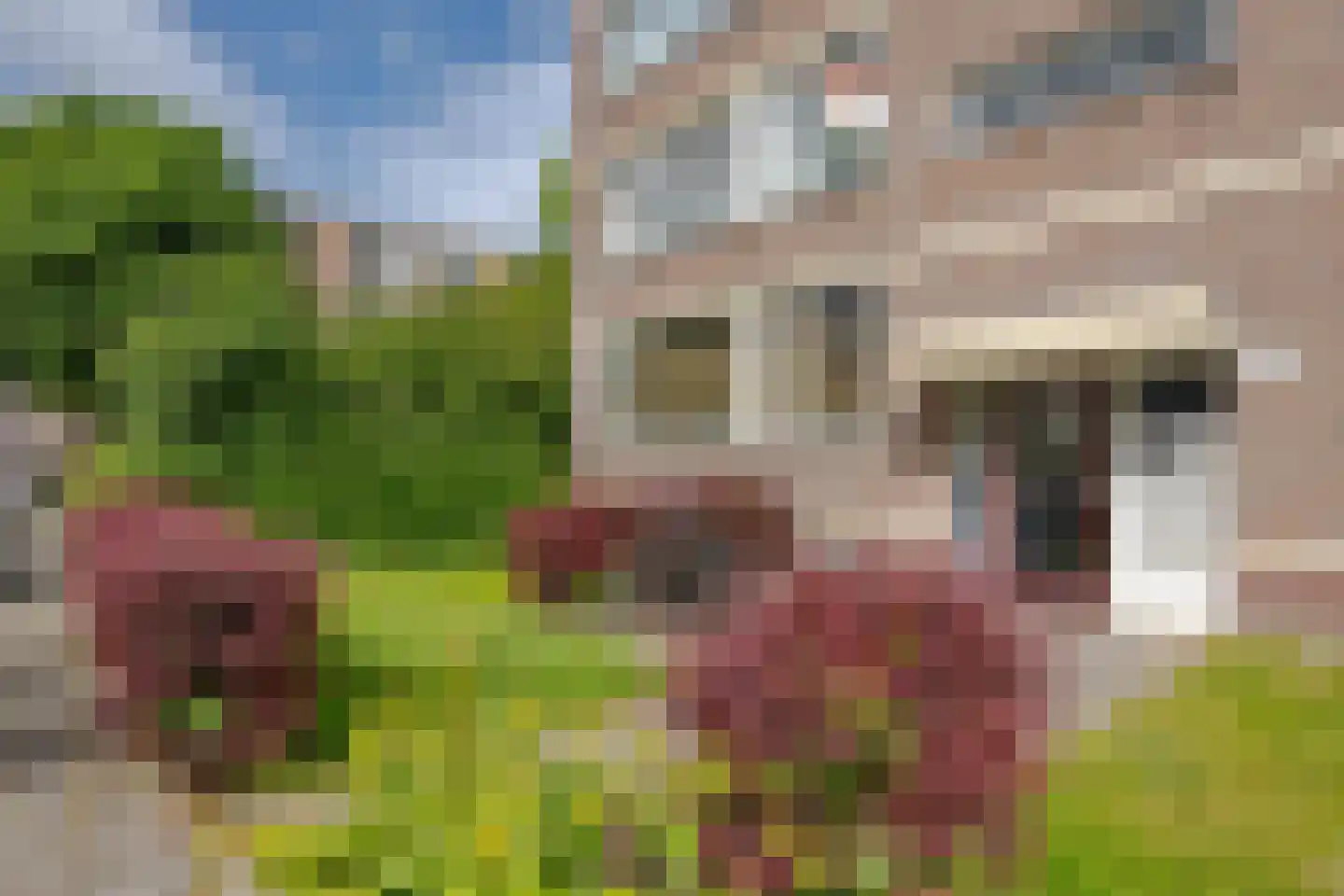 Ruigoord 91 Rotterdam thumbnail 20