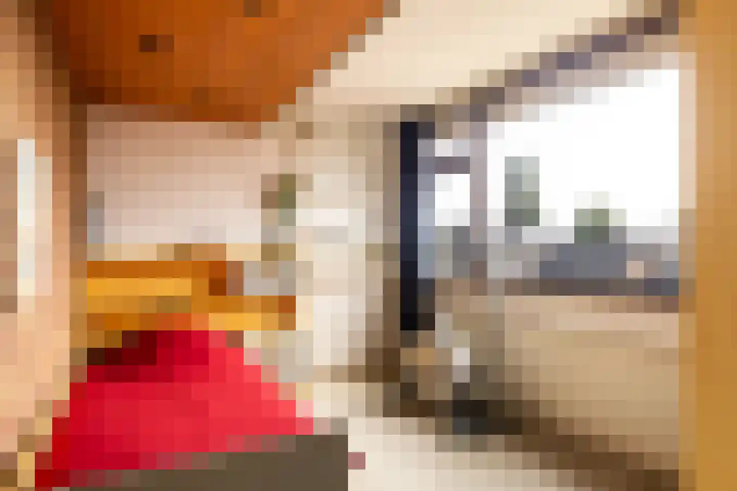 Ruijgenbosweg 12 Eerbeek thumbnail 17