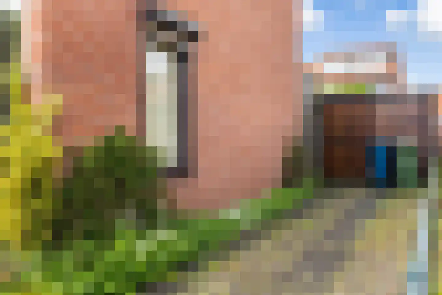 Ruijgenbosweg 12 Eerbeek thumbnail 29