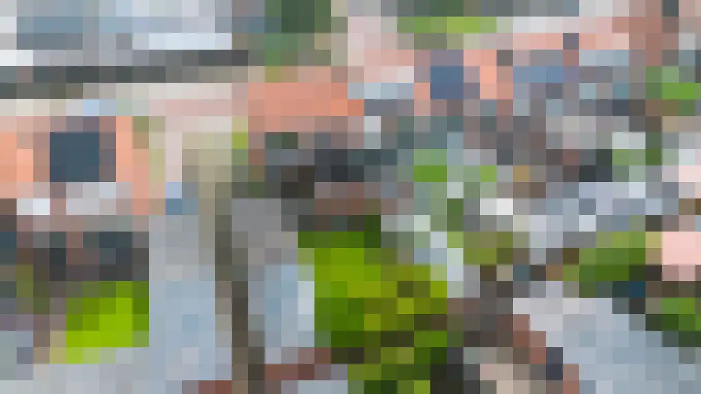 Ruijgenbosweg 12 Eerbeek thumbnail 30