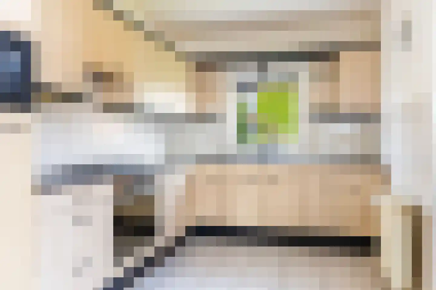 Ruijgenbosweg 12 Eerbeek thumbnail 4