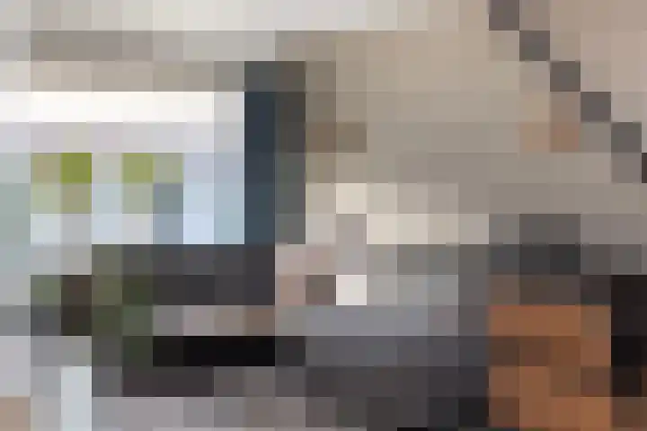 Ruijgenbosweg 31 Eerbeek thumbnail 17