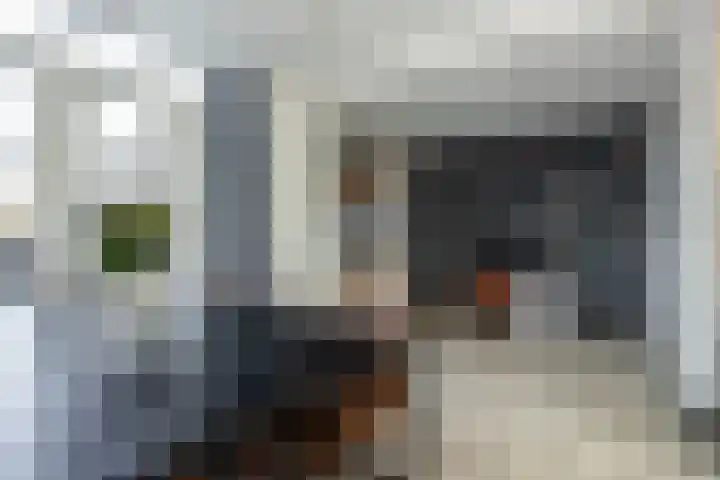 Ruijgenbosweg 31 Eerbeek thumbnail 22