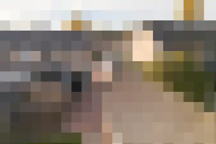 Ruijgenbosweg 31 Eerbeek thumbnail 32