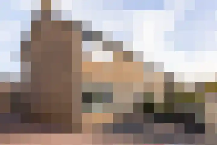 Ruijgenbosweg 31 Eerbeek thumbnail 7
