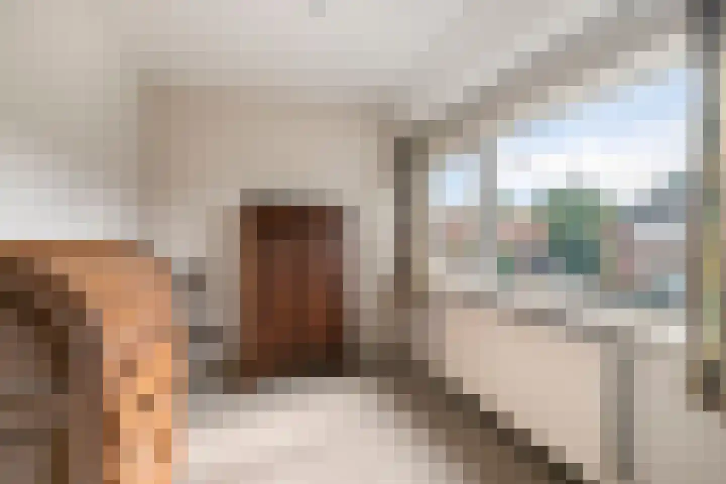 Ruijgenbosweg 35 Eerbeek thumbnail 19