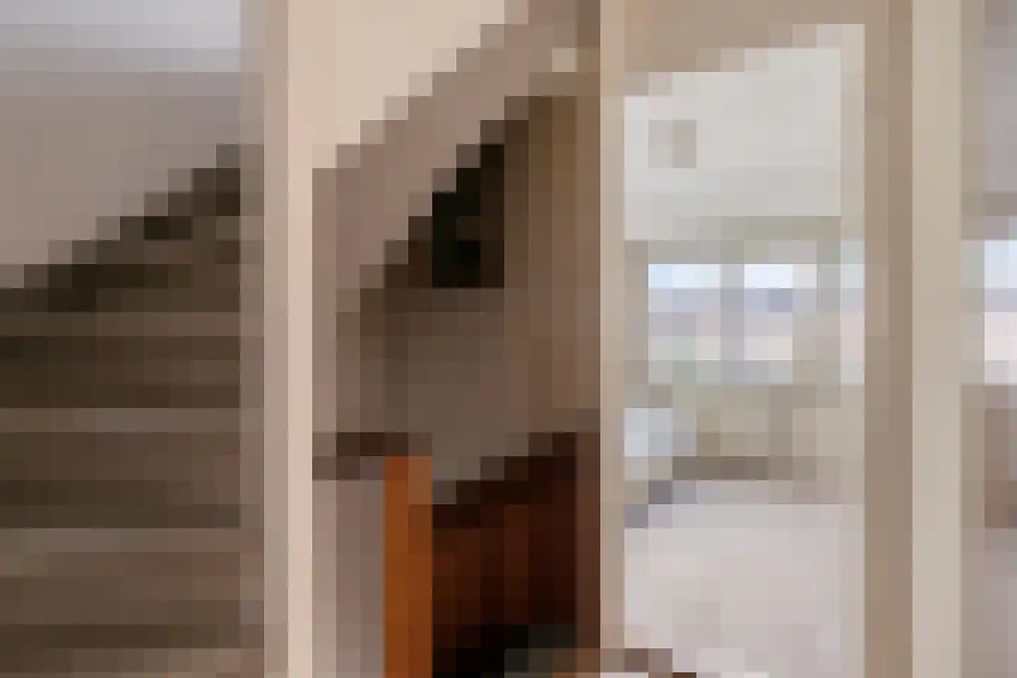 Ruijgenbosweg 35 Eerbeek thumbnail 23