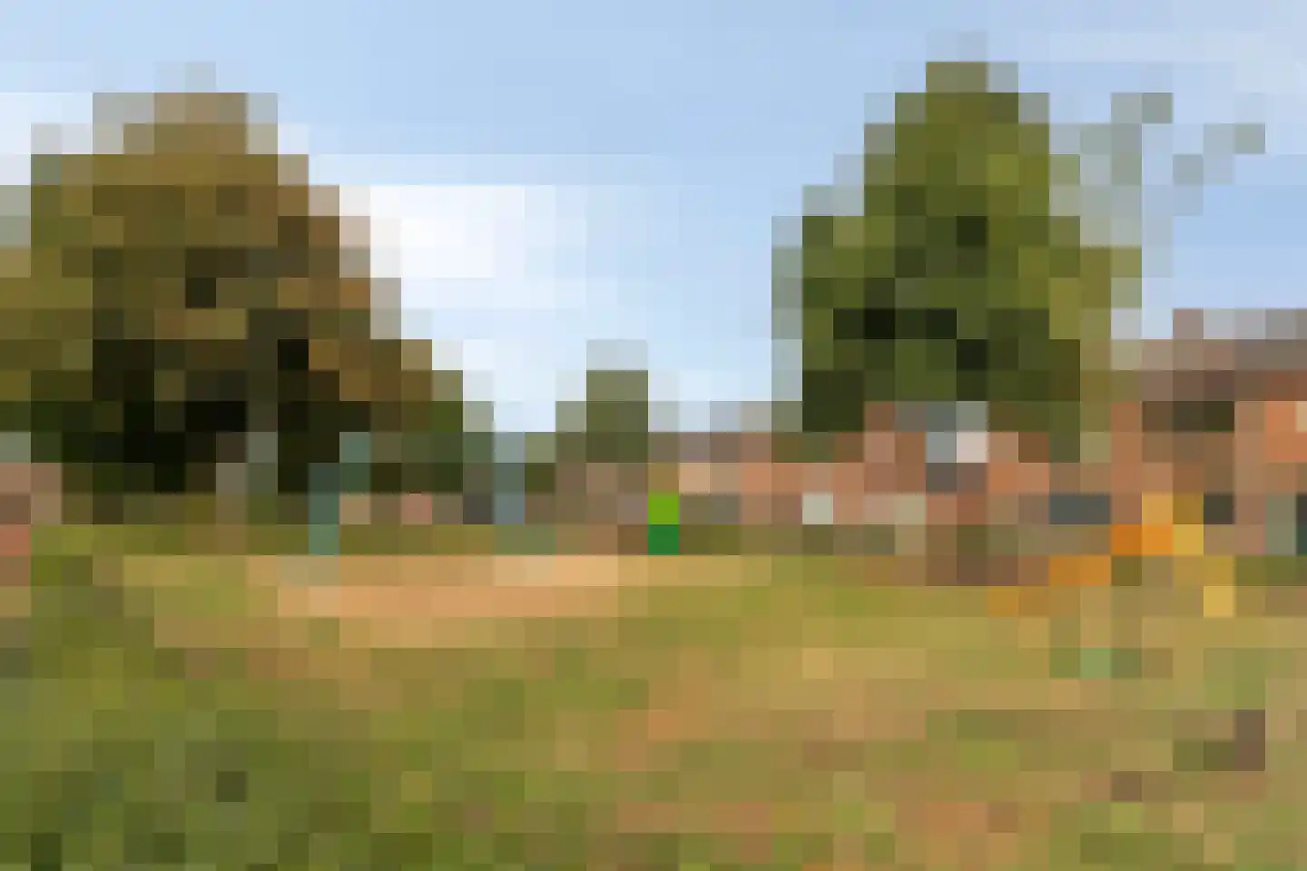 Ruijgenbosweg 35 Eerbeek thumbnail 33
