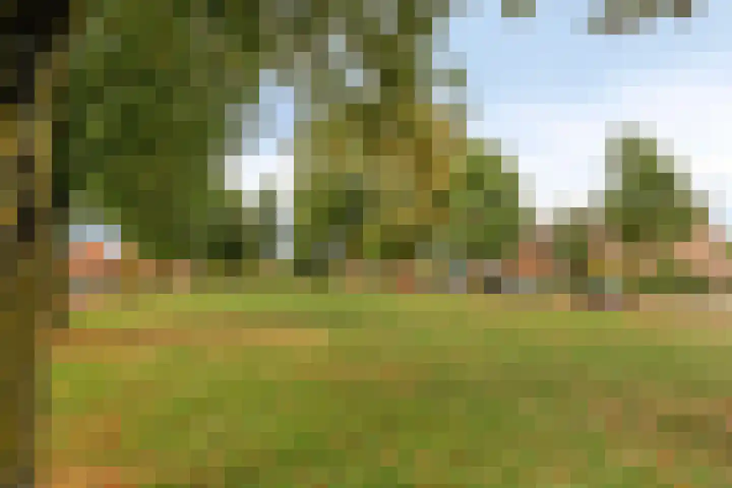 Ruijgenbosweg 35 Eerbeek thumbnail 35