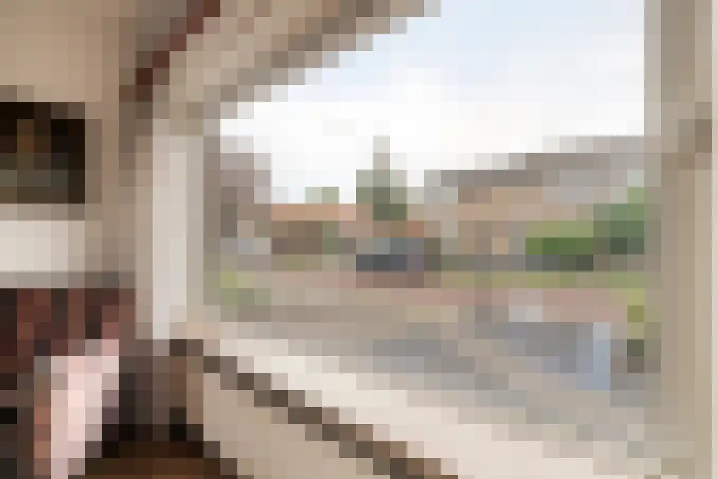 Ruijgenbosweg 35 Eerbeek thumbnail 7