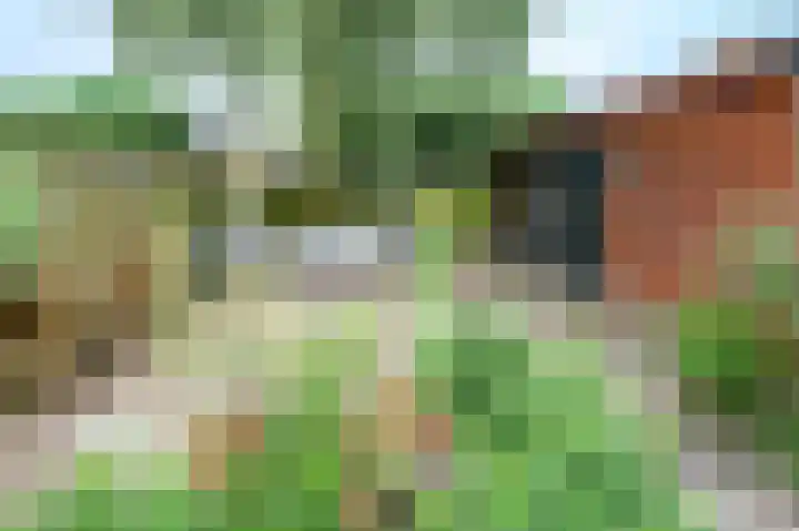 Ruijgenbosweg 40 Eerbeek thumbnail 19
