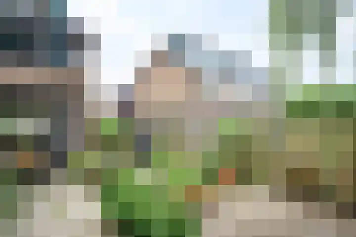Ruijgenbosweg 40 Eerbeek thumbnail 21