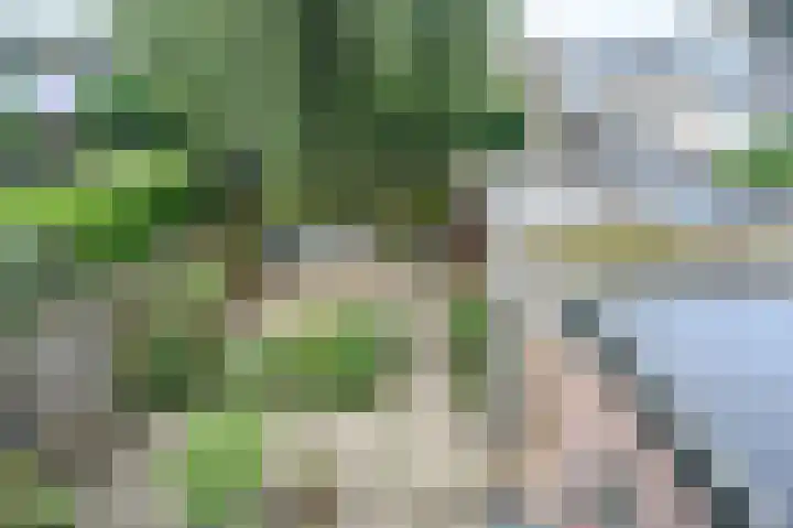 Ruijgenbosweg 40 Eerbeek thumbnail 22
