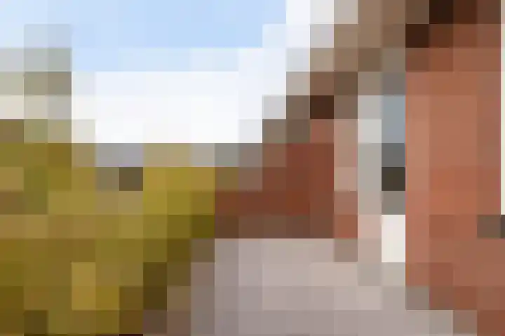 Ruijgenhoeck 15 Noordwijk thumbnail 19