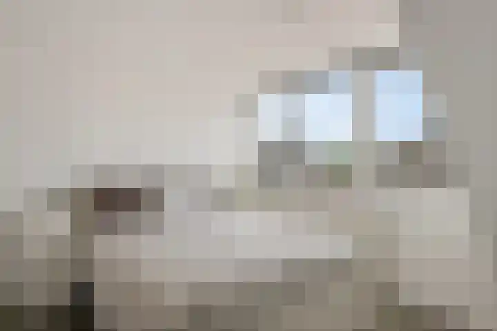 Ruijgenhoeck 15 Noordwijk thumbnail 28