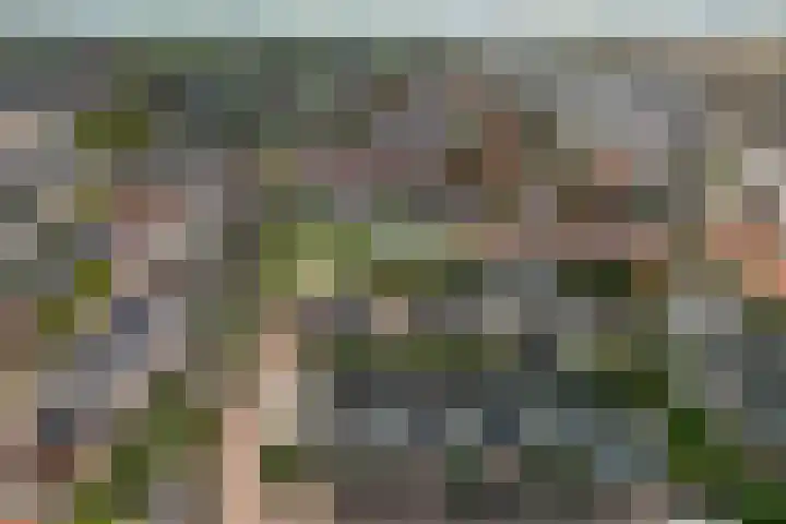 Ruijgenhoeck 15 Noordwijk thumbnail 38