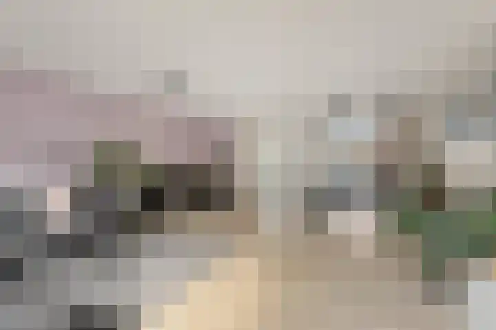 Ruijgenhoeck 15 Noordwijk thumbnail 4