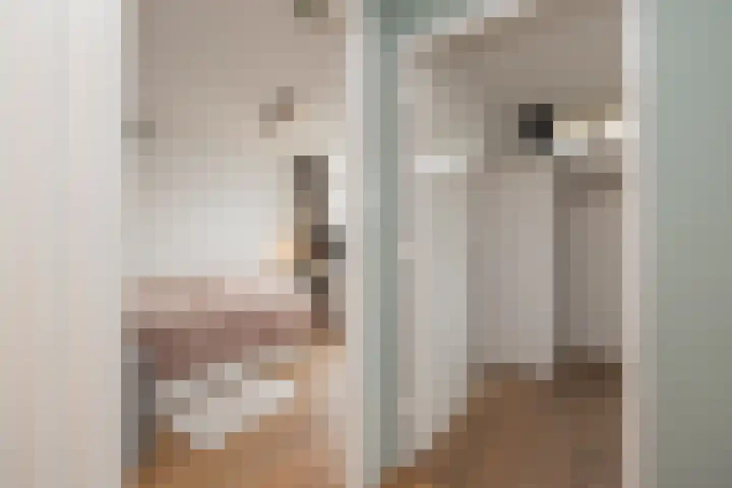 Ruijgenhoeck 8 Noordwijk thumbnail 26