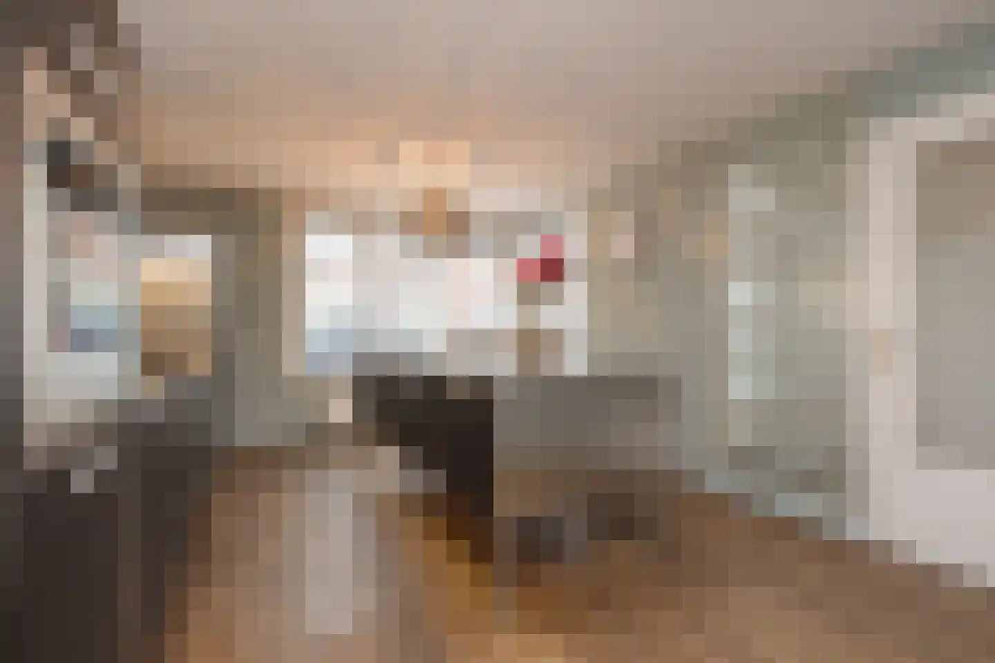 Ruijgenhoeck 8 Noordwijk thumbnail 6