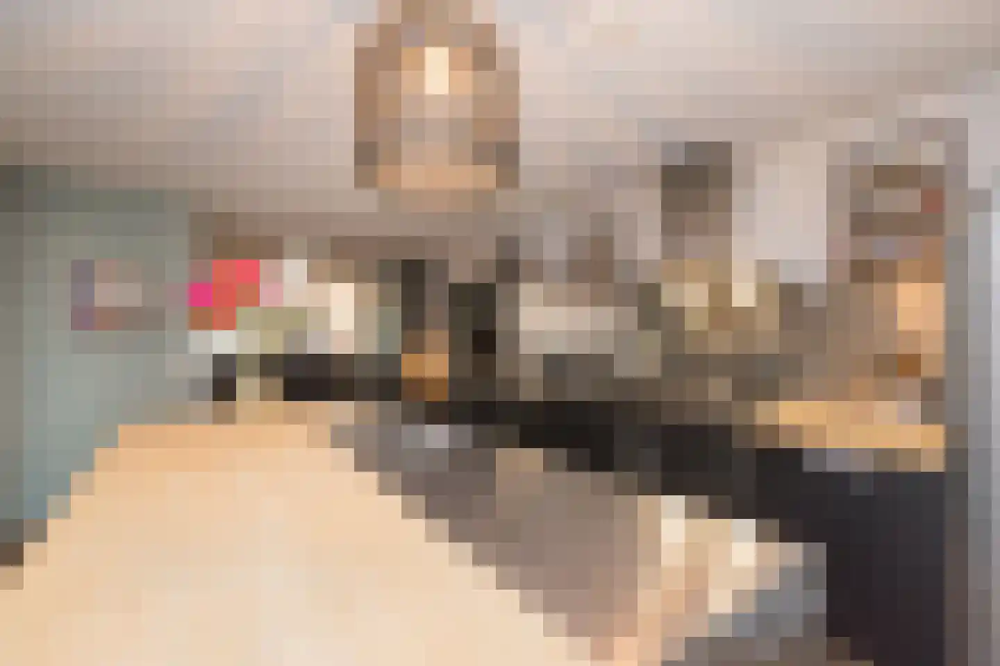 Ruijgenhoeck 8 Noordwijk thumbnail 7