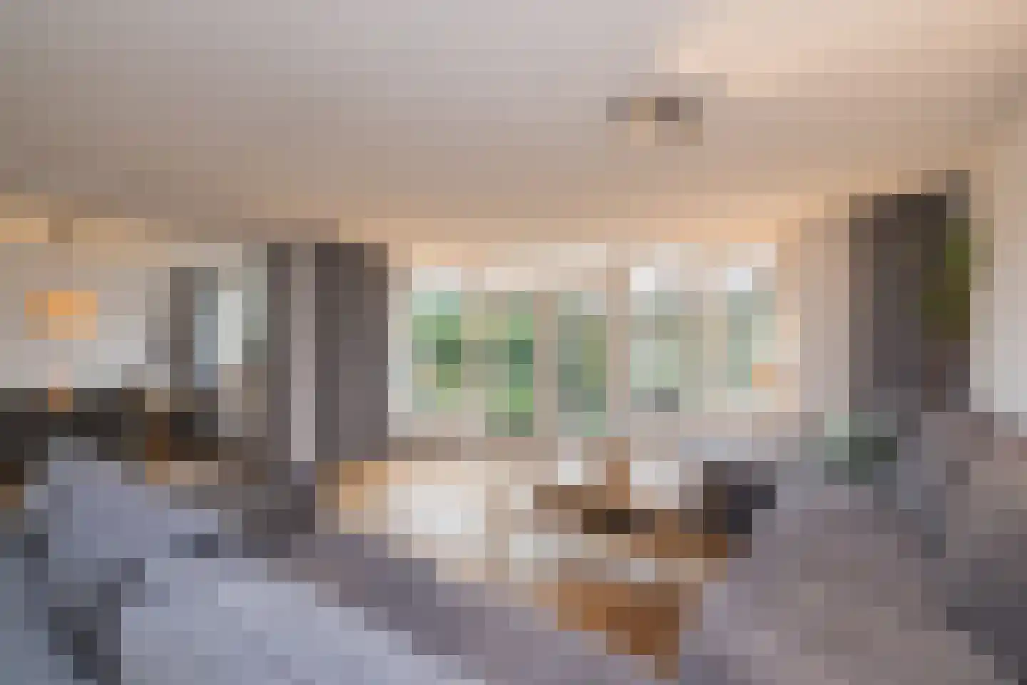Ruijgenhoeck 8 Noordwijk thumbnail 9