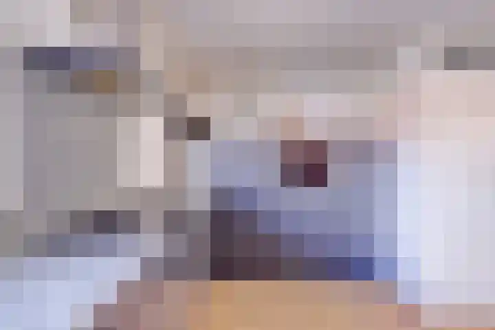 Ruijgenhoeksepolder 10 De Meern thumbnail 12