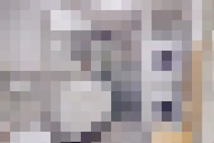 Ruijgenhoeksepolder 10 De Meern thumbnail 23