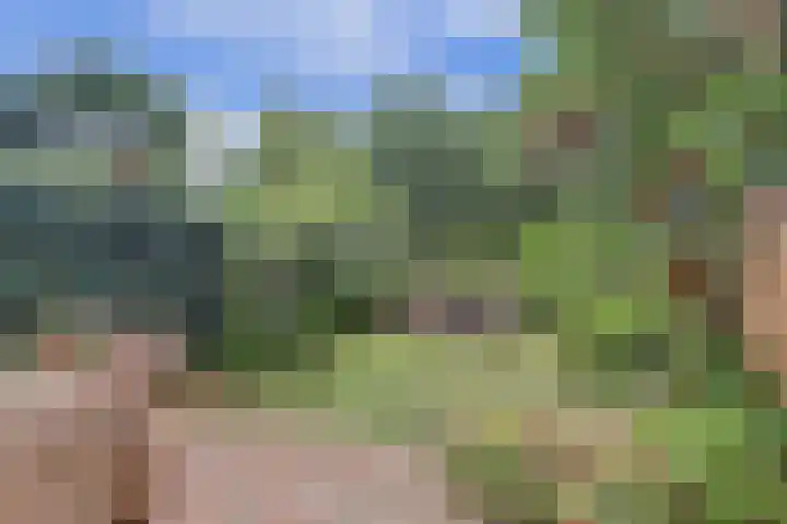 Ruijgenhoeksepolder 10 De Meern thumbnail 38