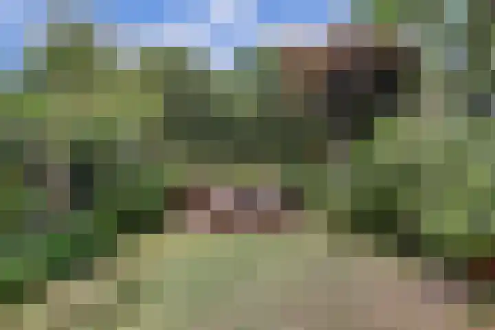 Ruijgenhoeksepolder 10 De Meern thumbnail 39