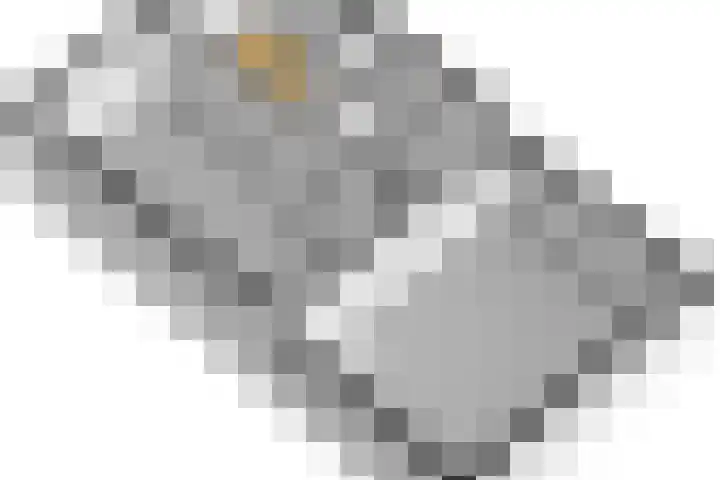 Ruijgenhoeksepolder 10 De Meern thumbnail 47