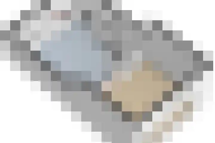 Ruijgenhoeksepolder 10 De Meern thumbnail 48