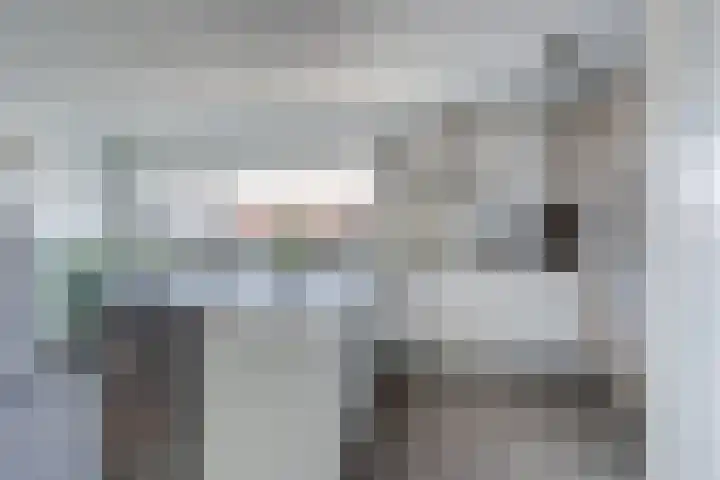 Ruijgenhoeksepolder 14 De Meern thumbnail 11