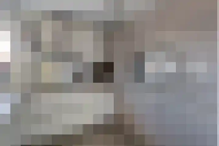 Ruijgenhoeksepolder 14 De Meern thumbnail 12