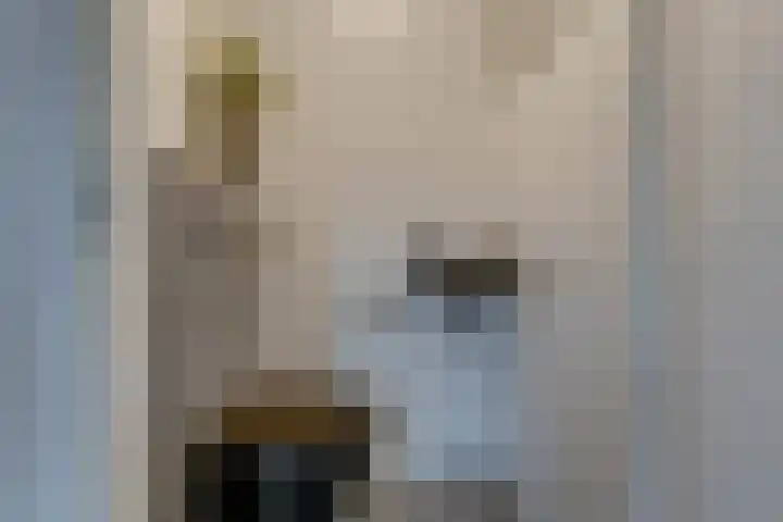 Ruijgenhoeksepolder 14 De Meern thumbnail 14