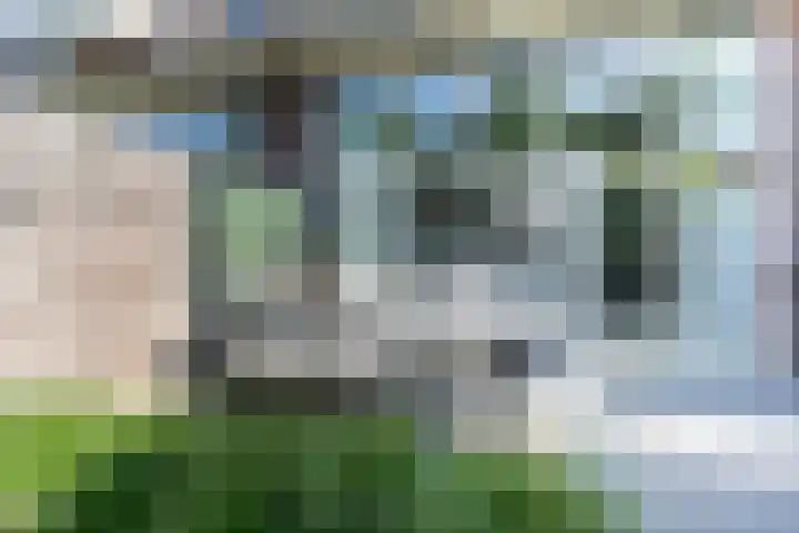 Ruijgenhoeksepolder 14 De Meern thumbnail 15